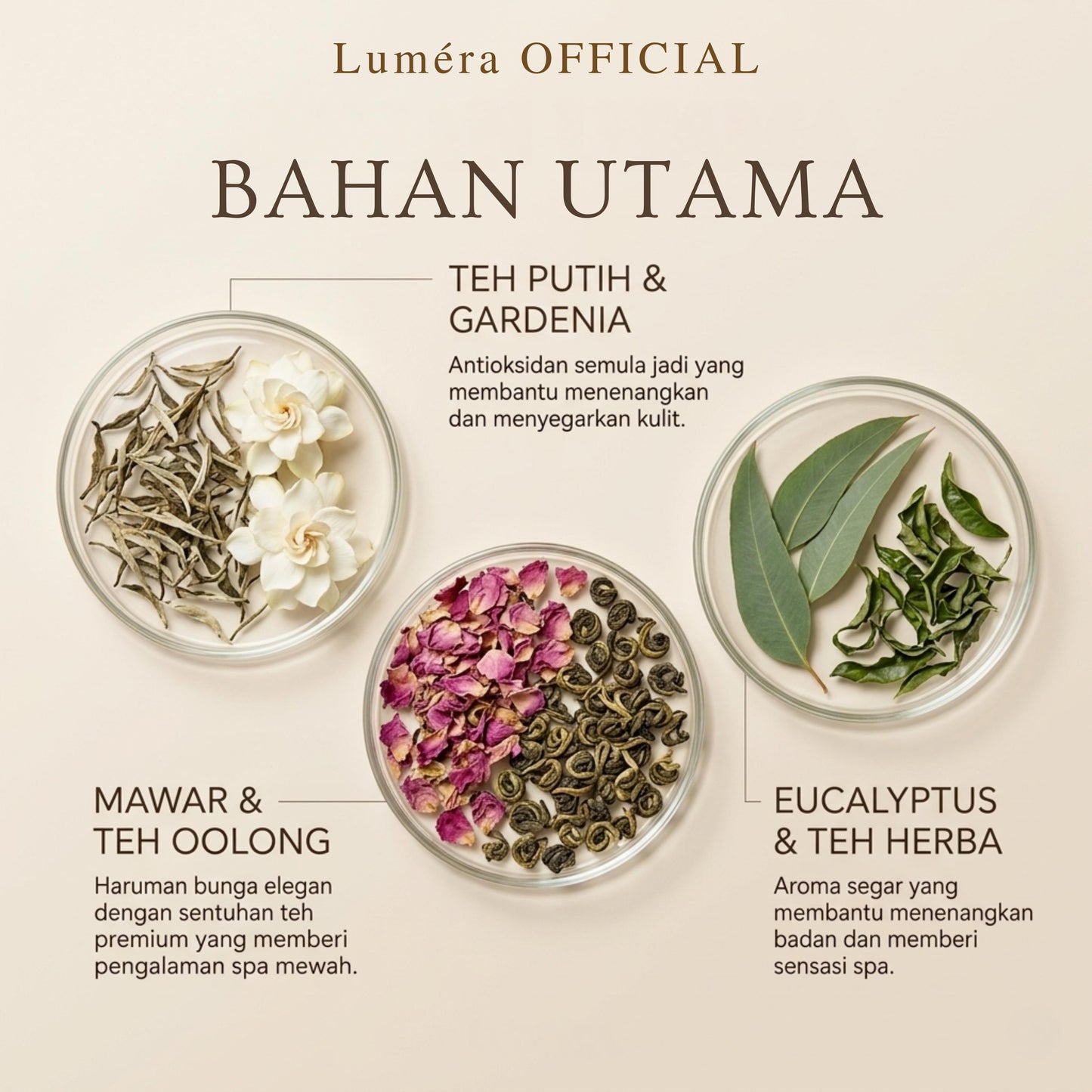 Lumera™ Premium Shower Gel (500ml)